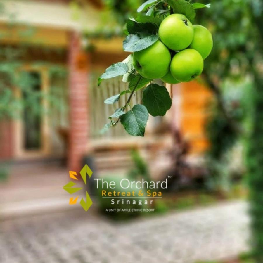 The Orchard Retreat & Spa Ξενοδοχείο Σριναγκάρ Εξωτερικό φωτογραφία